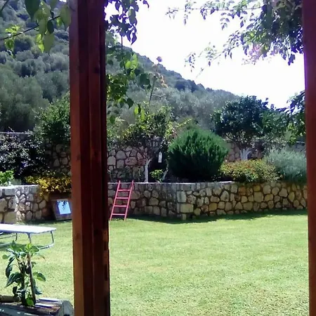 Case de vacanță D'arte